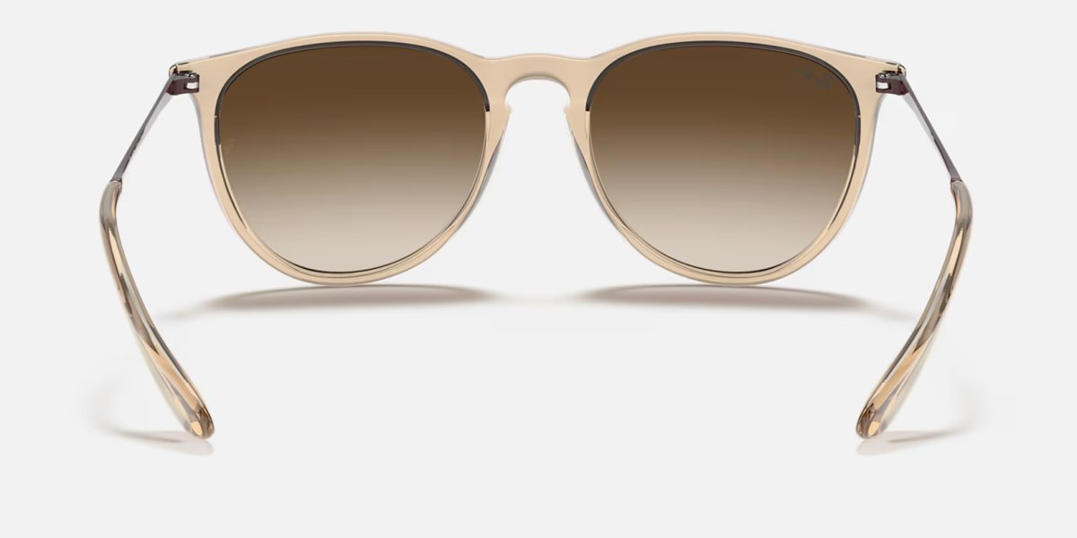 Ray-Ban RB4171 Erika 6514/13