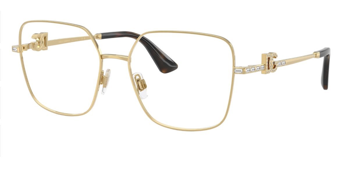 Dolce & Gabbana DG1367B 02