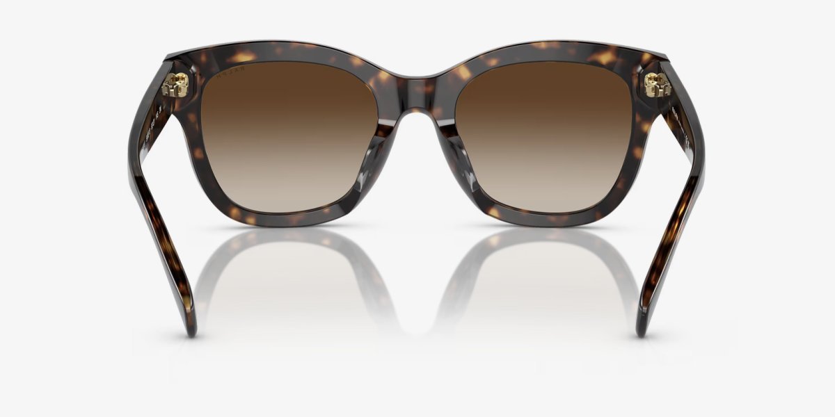 Ralph Lauren RA5301U 500313