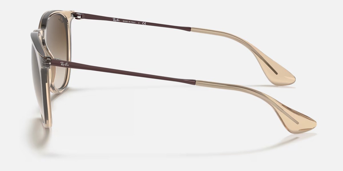 Ray-Ban RB4171 Erika 6514/13