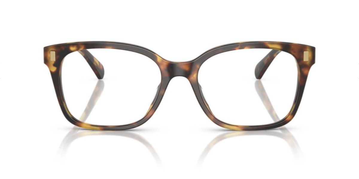 Ralph Lauren RA7174U 5134